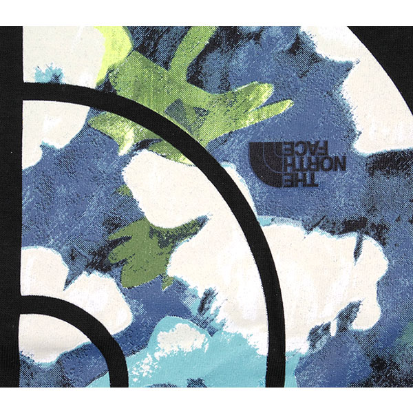 ノースフェイス キッズ tシャツ usa