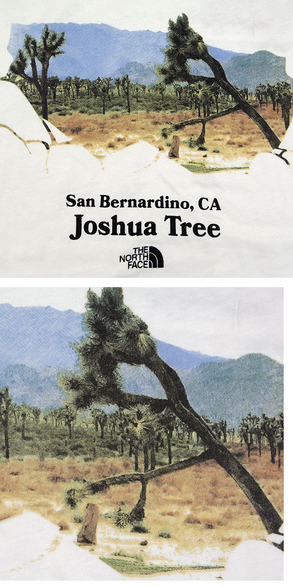 ノースフェイス レディース tシャツ 半袖